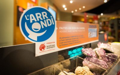Nature & Découvertes sous le signe de L&rsquo;ARRONDI
